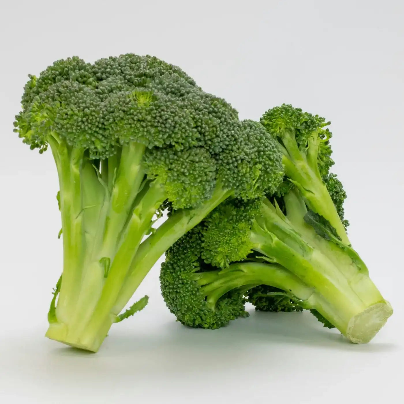 Twee verse stronken broccoli op een witte achtergrond